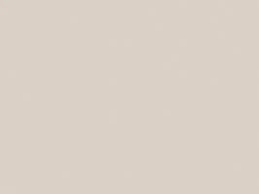 Nr. 993 Sandbeige supermatt